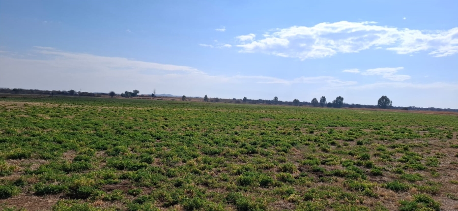  Bedroom Property for Sale in Jacobsdal Rural Free State